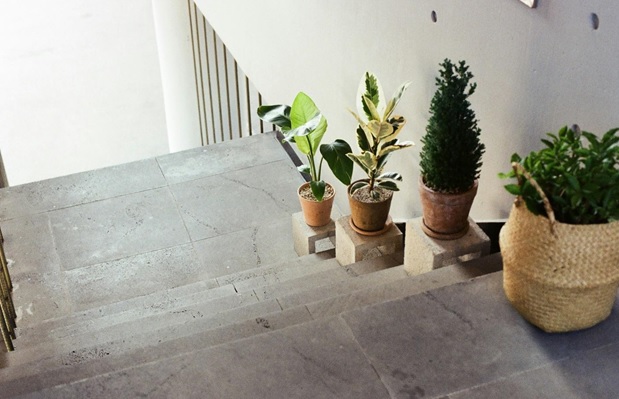 Spring 2025 Interior Design Trends: Fresh Looks for a New Season